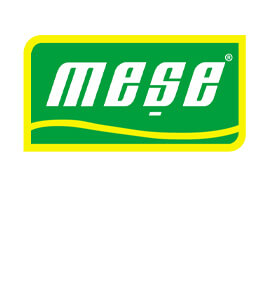 Meşe